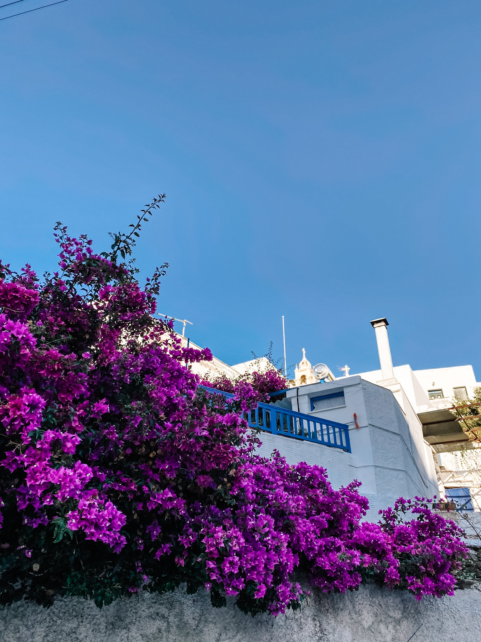 Pyrgos flowers