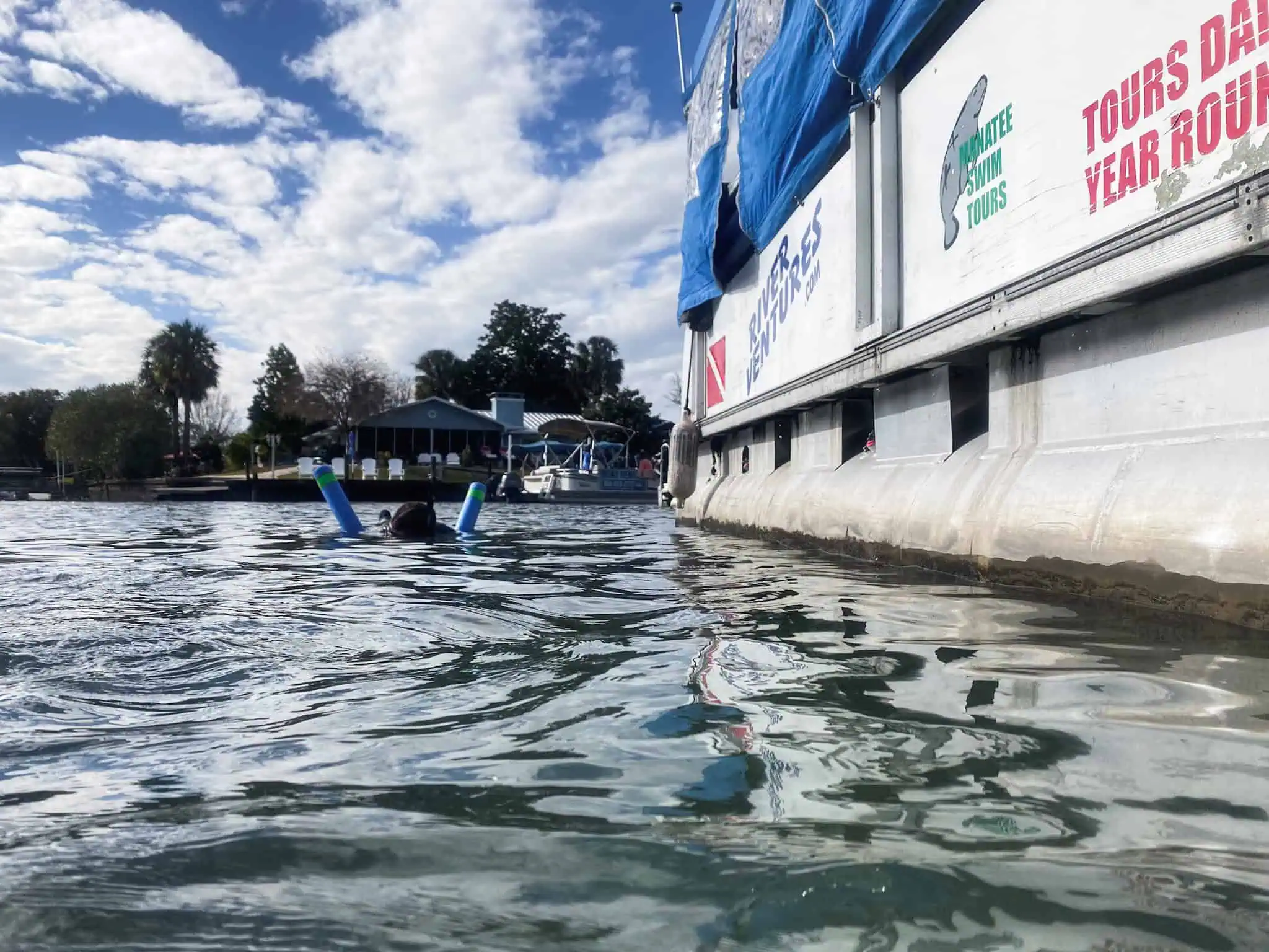 river ventures manatee swim tour - How to Swim with Manatees in Florida