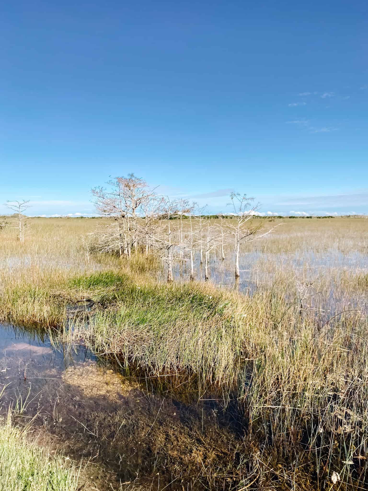 Florida Everglades National Park