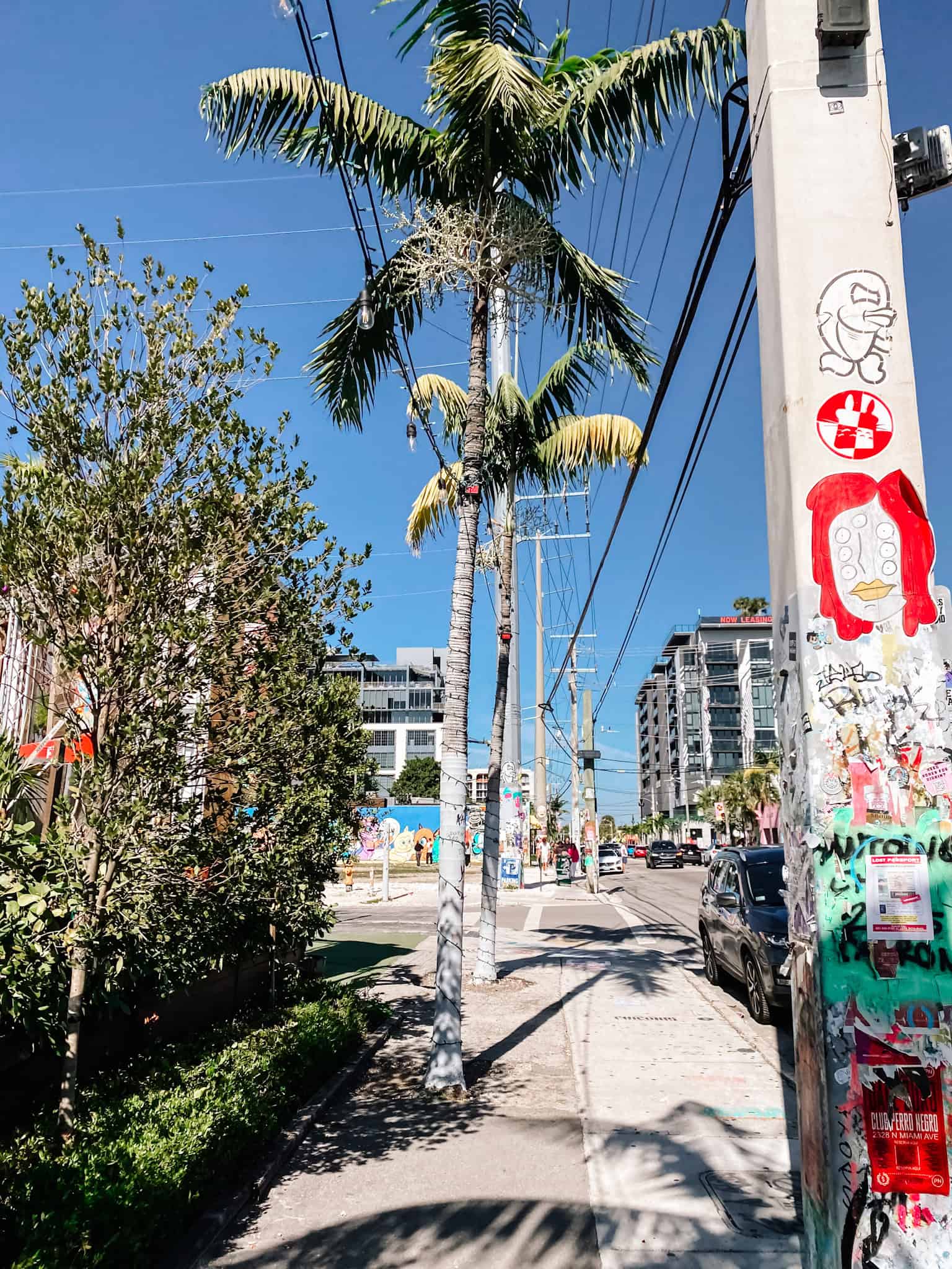 Wynwood Miami sidewalk