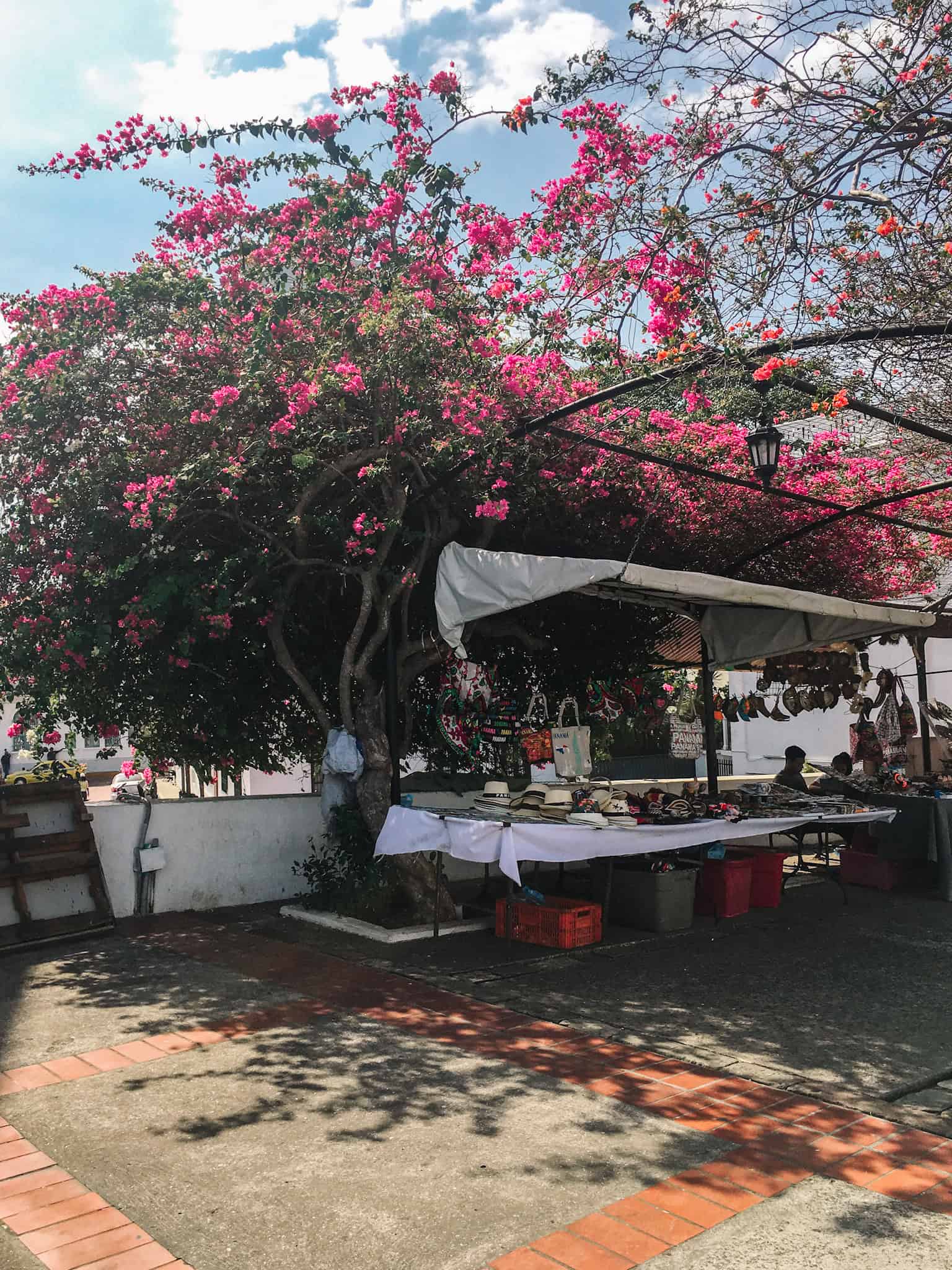 market vendor in Panama City