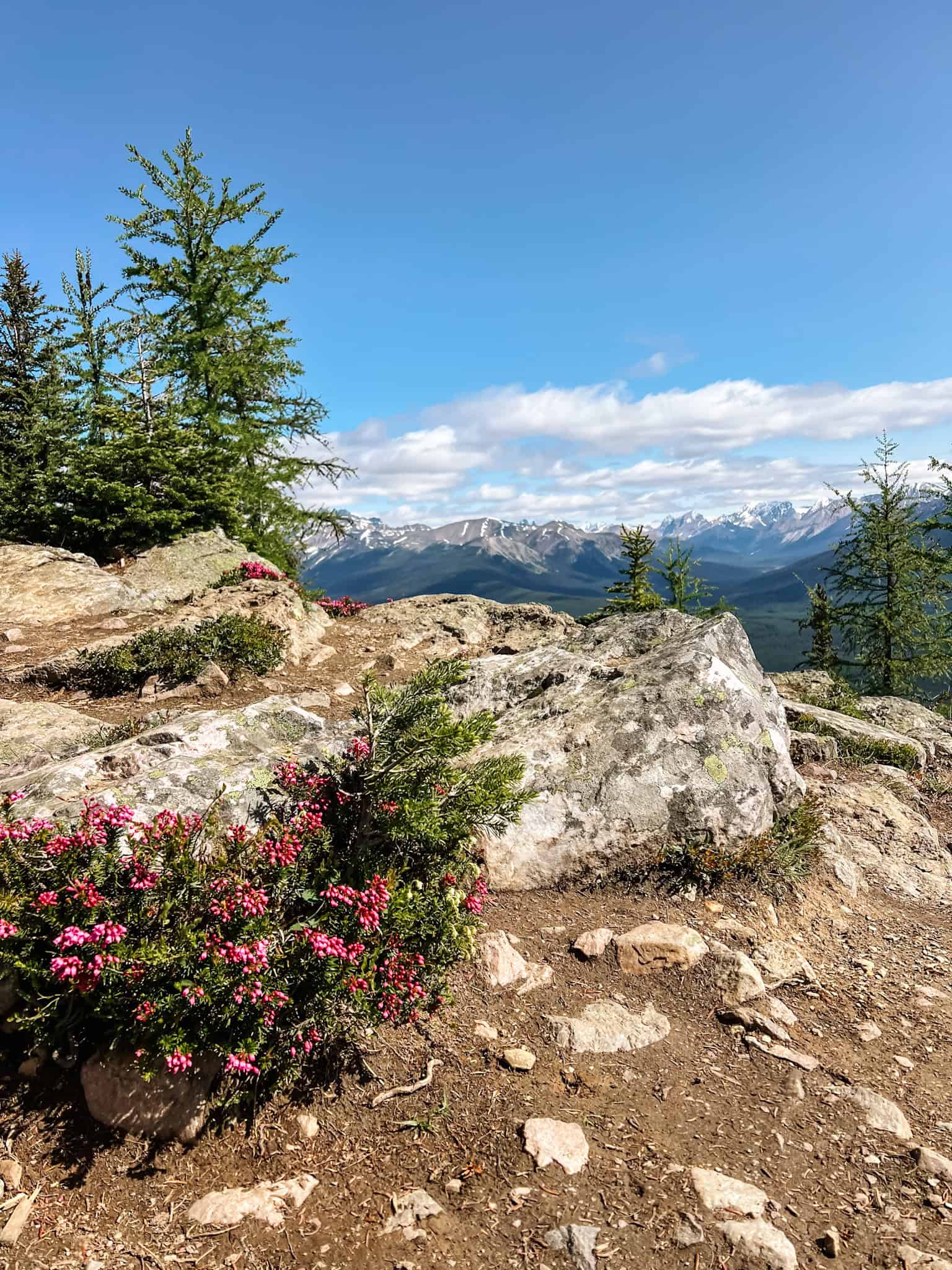 5 Days in Banff Itinerary: The Perfect Canadian Rockies Adventure ...
