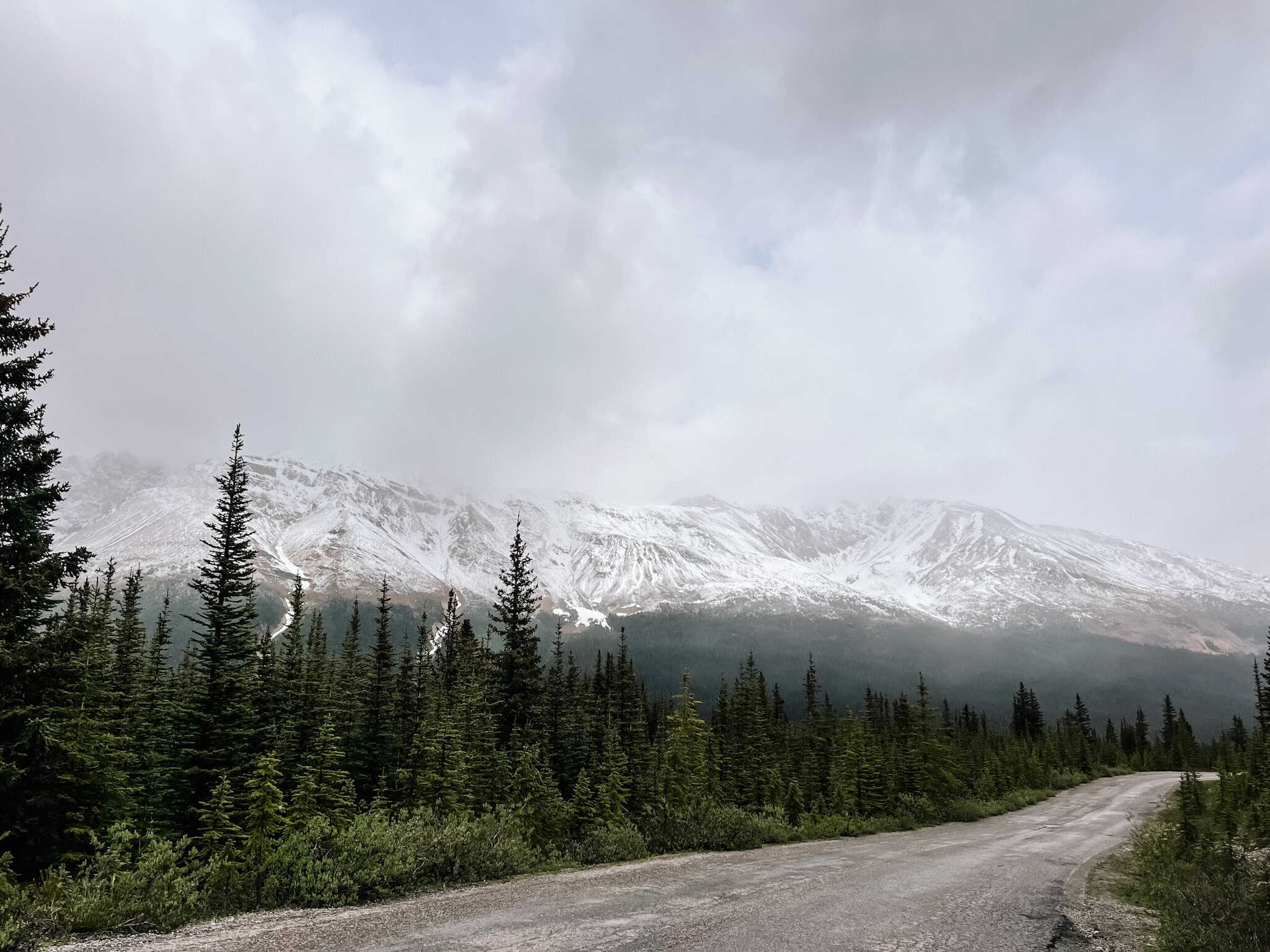 driving in Banff - June Snowfall