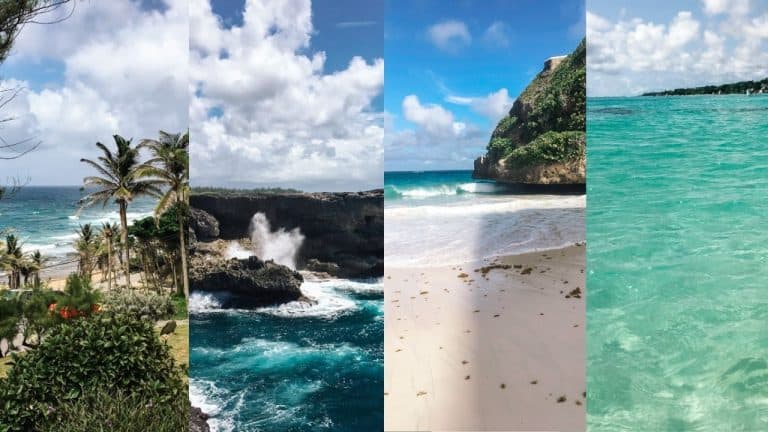 best area in Barbados header image. Four images of Barbados.