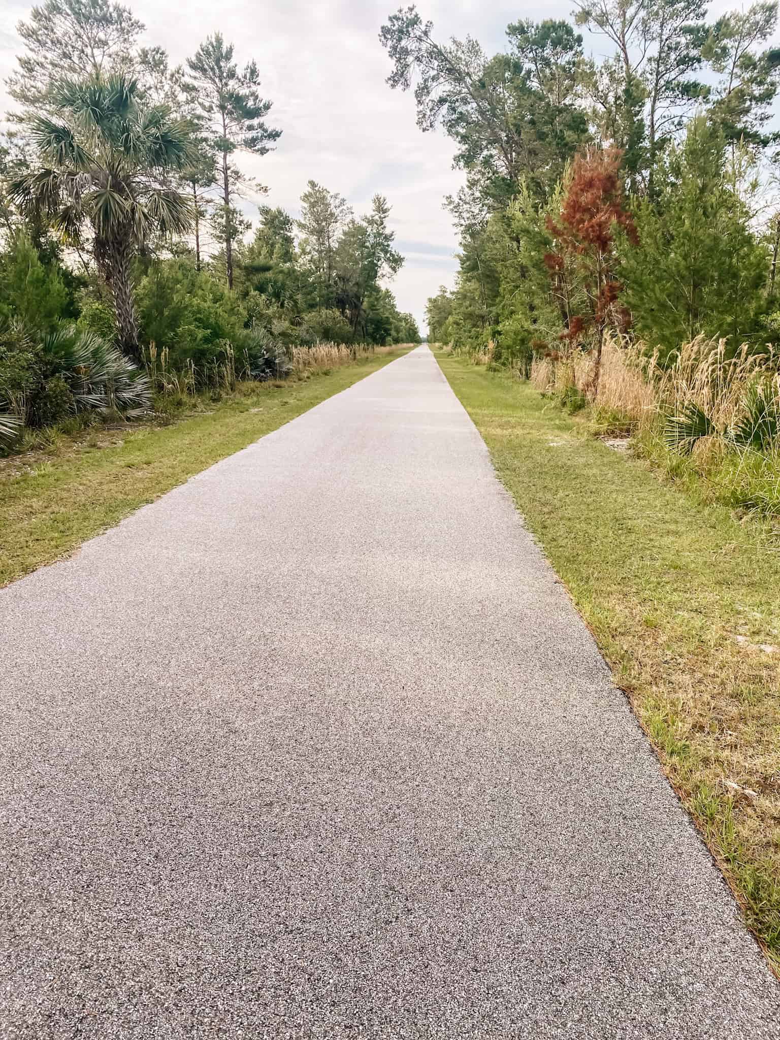 13 Best Bike Trails Near Daytona Beach (With Parking & Maps)