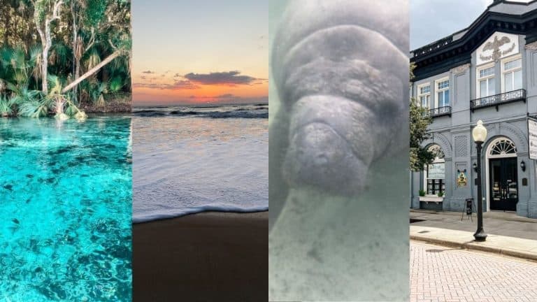 best day trips from Orlando