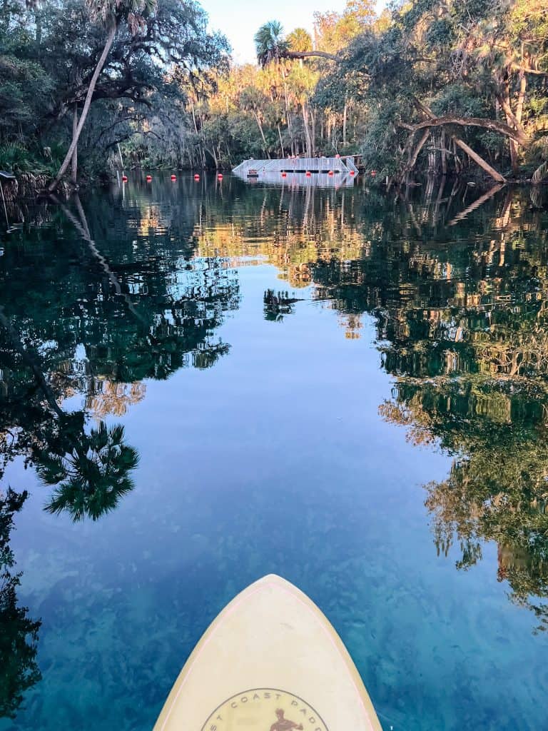Visit Blue Spring Blue Spring State Park Guide (By a Local): How to Enjoy in Winter vs ...