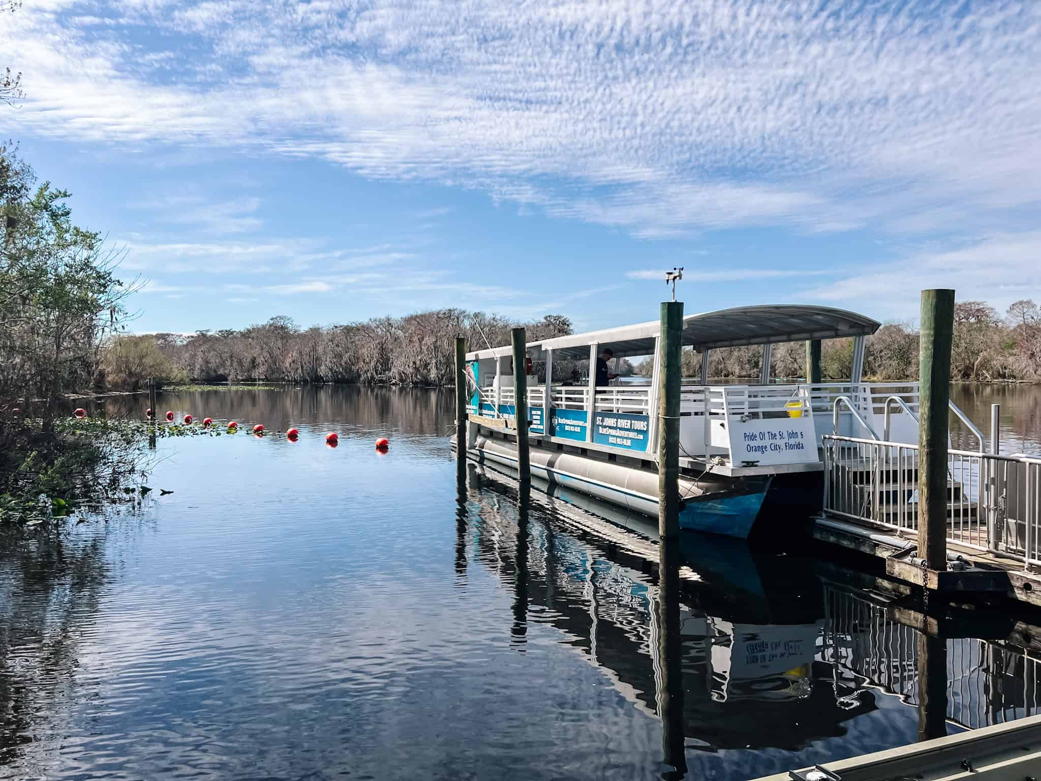 Blue Spring Boat Tour Review - St. Johns River boat tour