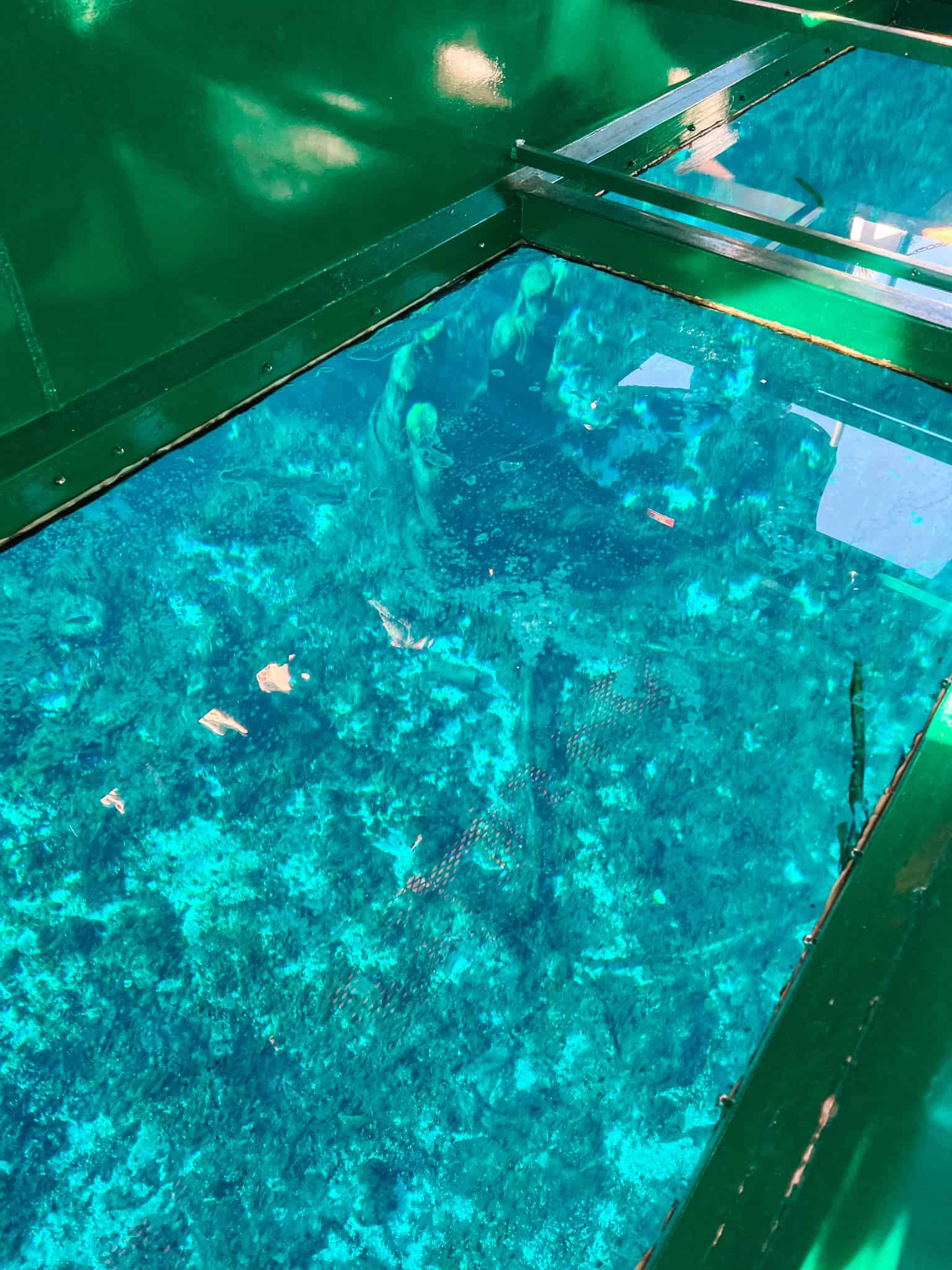 underwater statues Silver Springs glass bottom boat tour