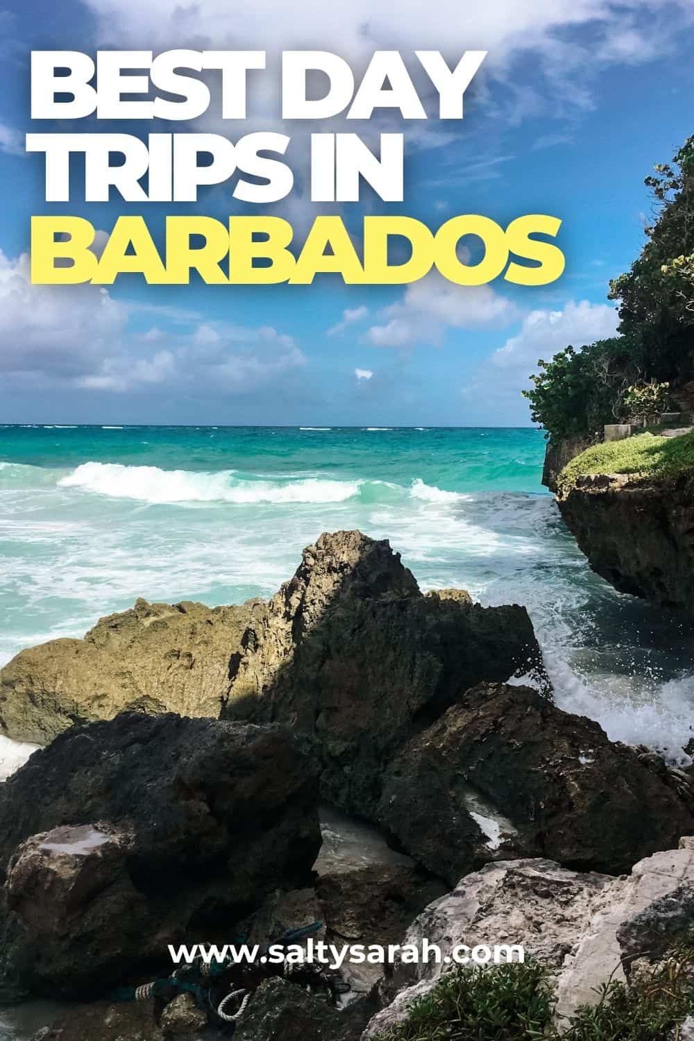 Best Day Trips in Barbados Pinterest Pin