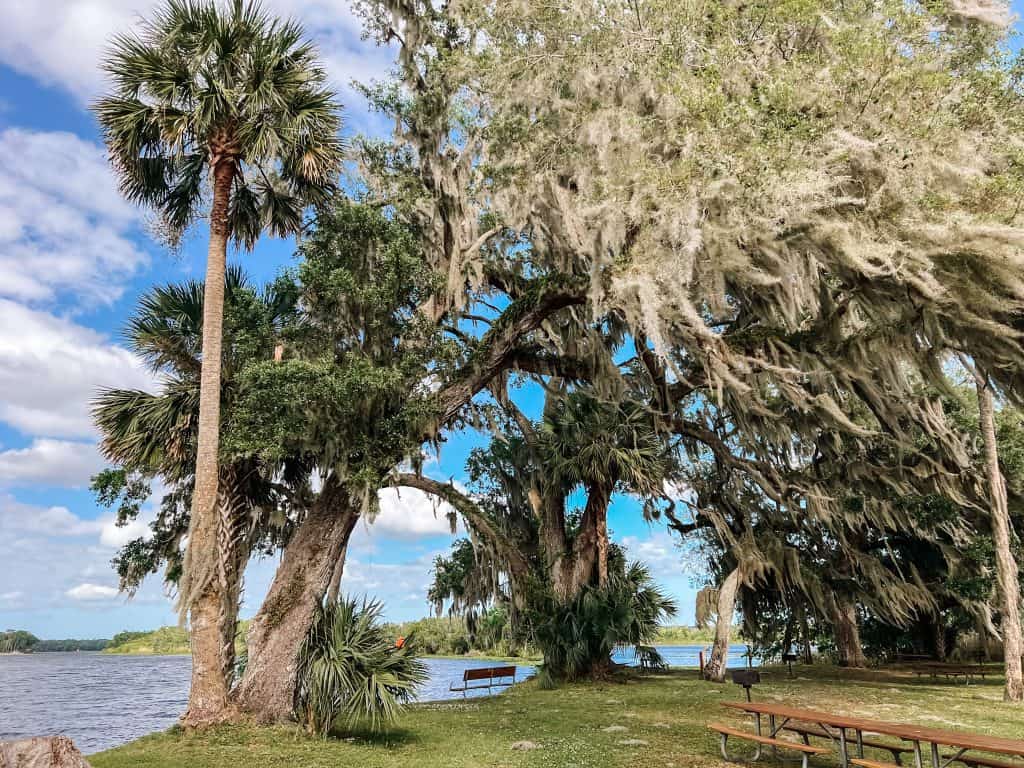 Hontoon Island State Park in Florida picnic area