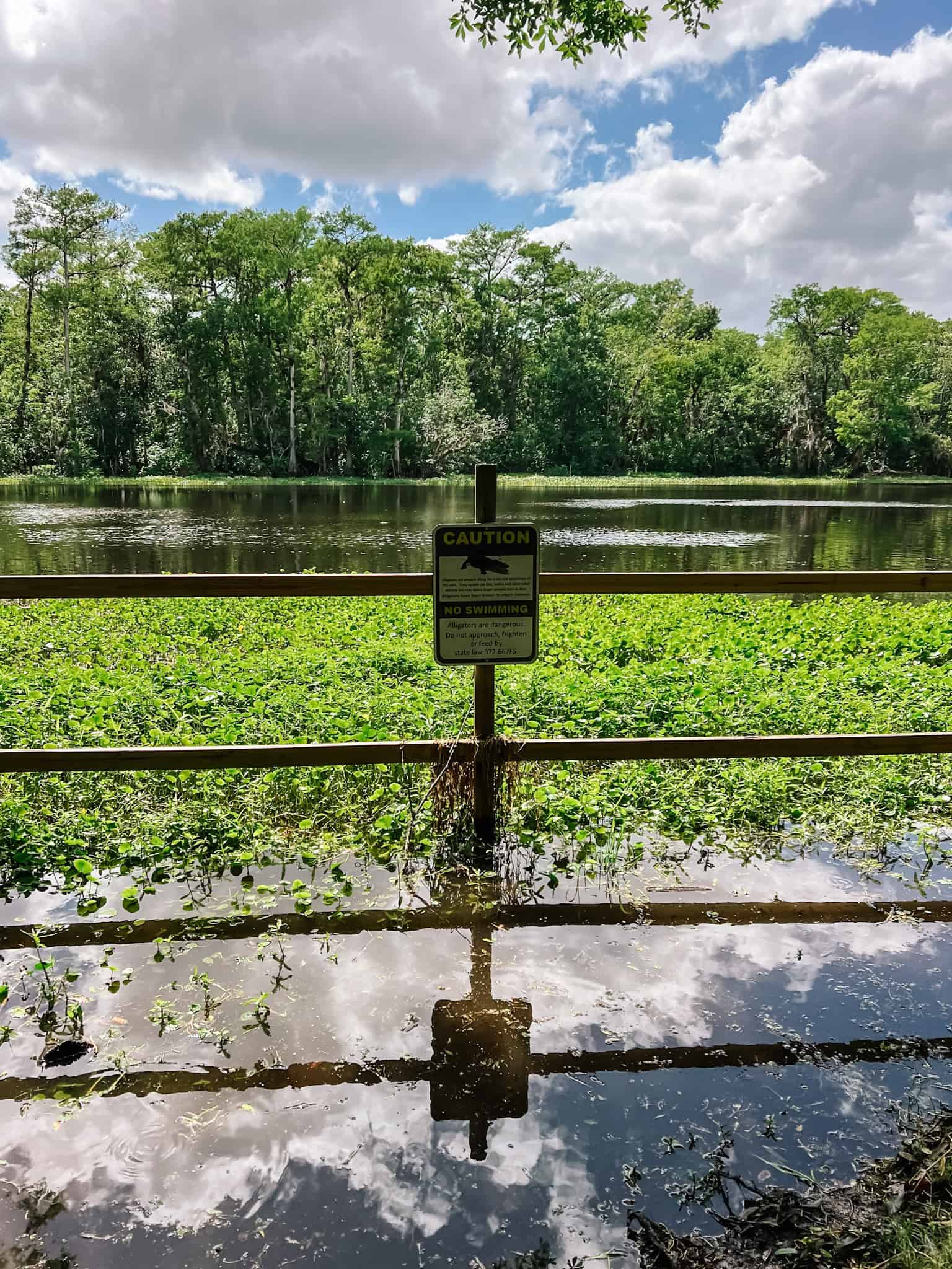 snake creek landing hontoon island state park