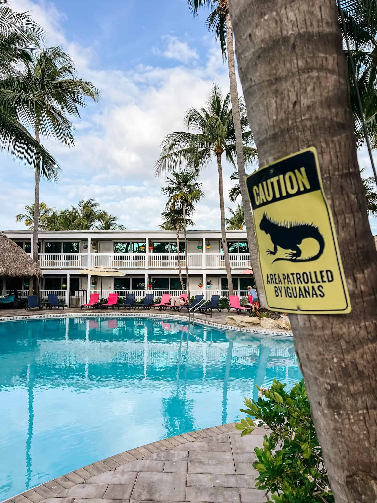 Havana Cabana iguanas sign by the pool