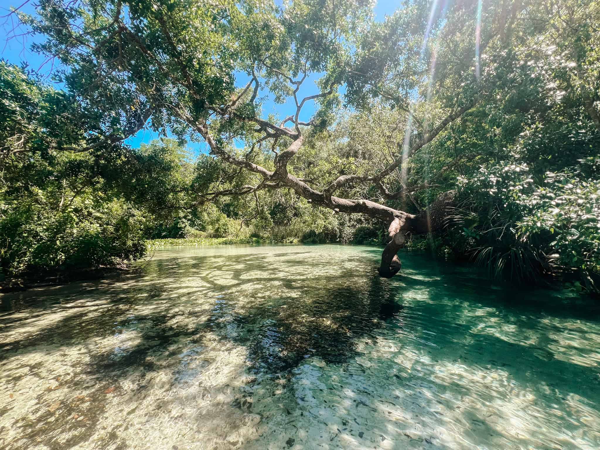 King's Landing in Florida paddle