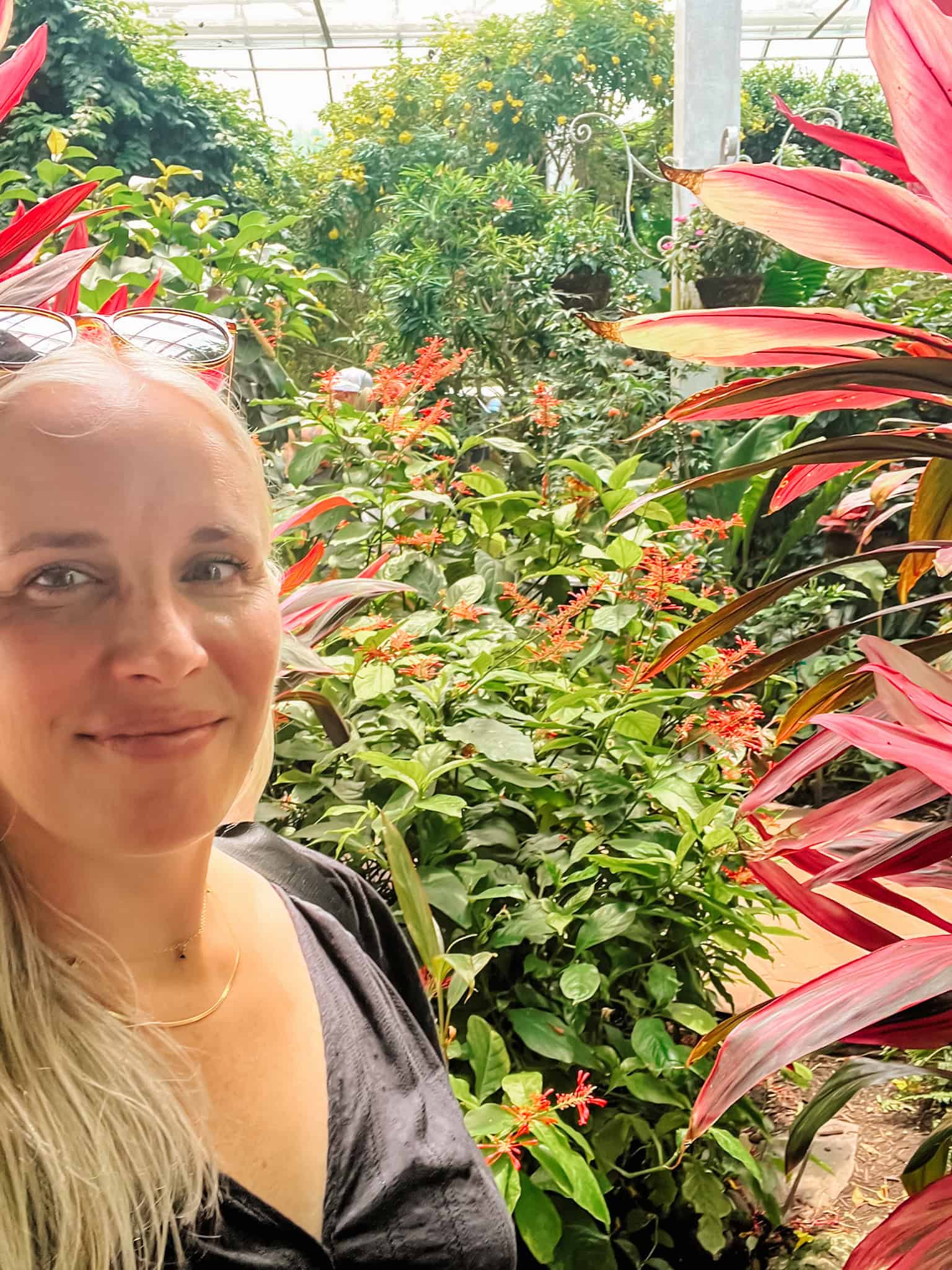 me inside The Key West Butterfly and Nature Conservatory