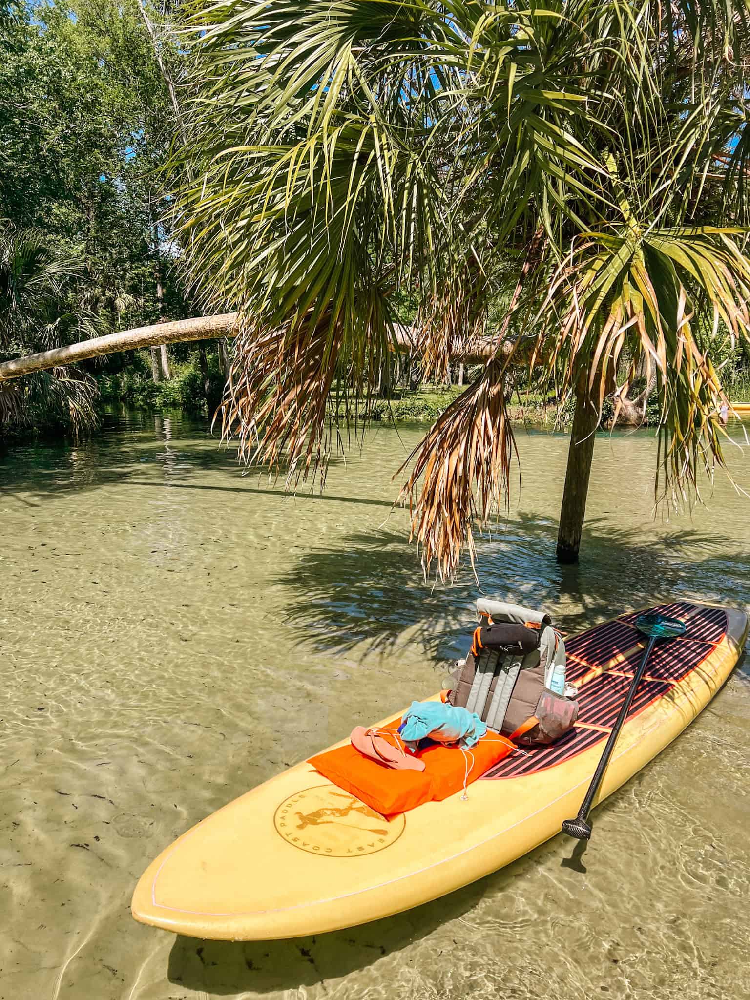 paddleboarding at King's Landing in Florida