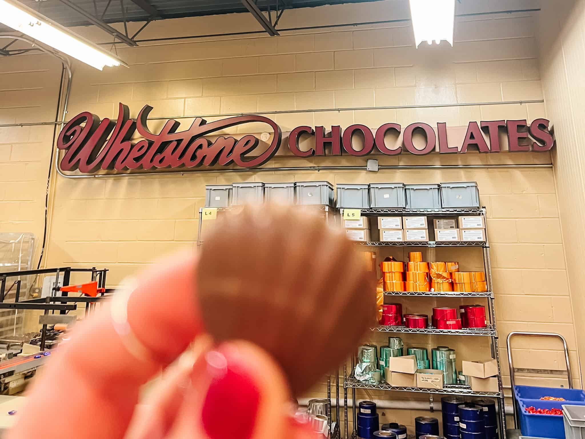 Chocolate Tasting at Whetstone Chocolates - things to do in St. Augustine