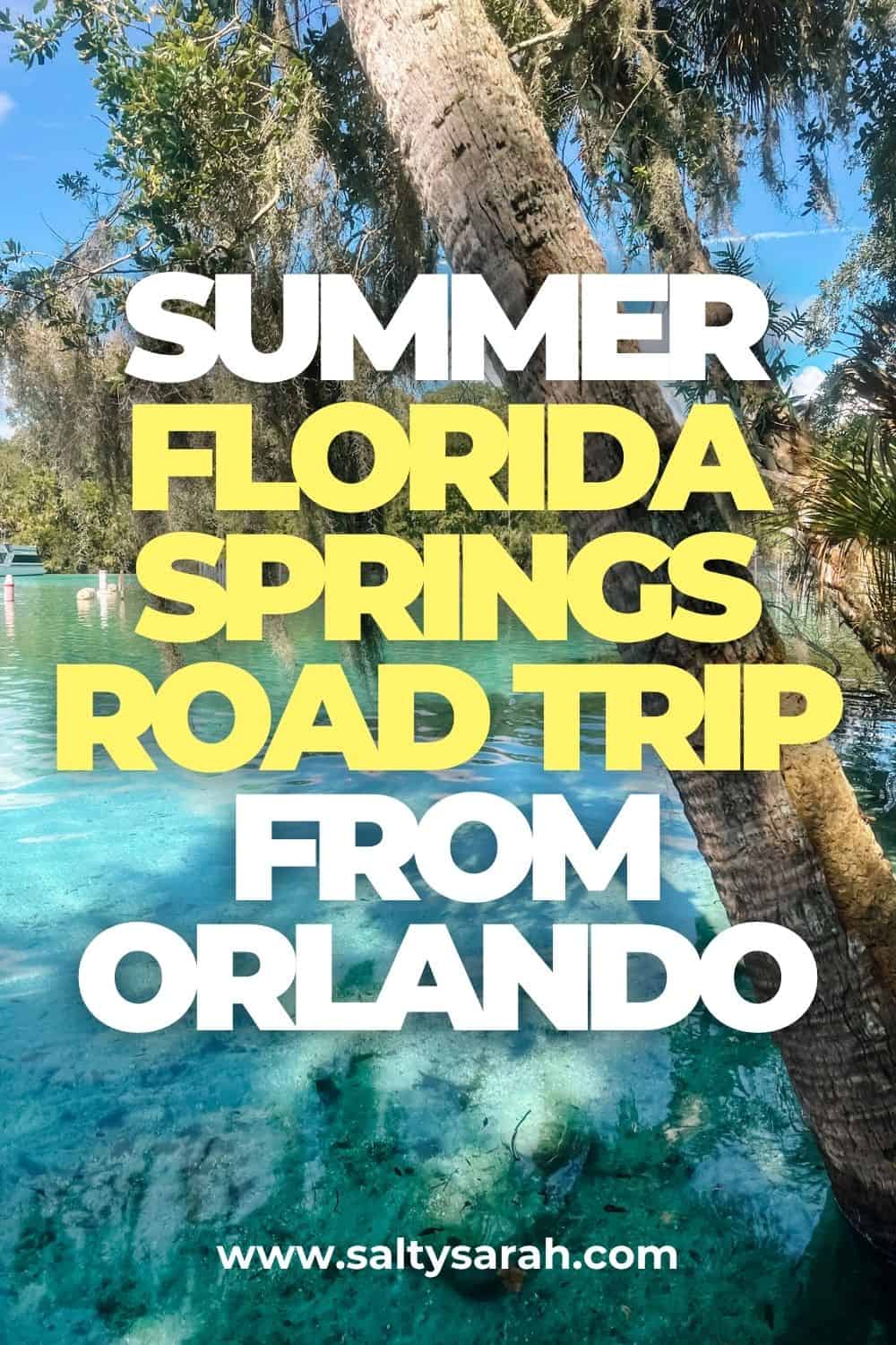 Summer Florida Springs Road Trip from Orlando Blog Pinterest Pin-2