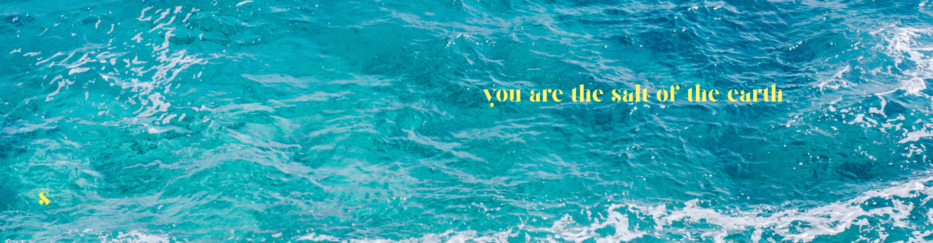 you are the salt of the earth