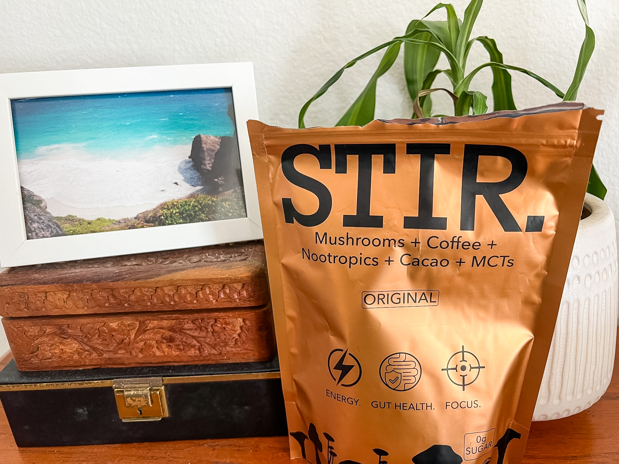 STIR Mushroom Coffee with plant and Barbados photo