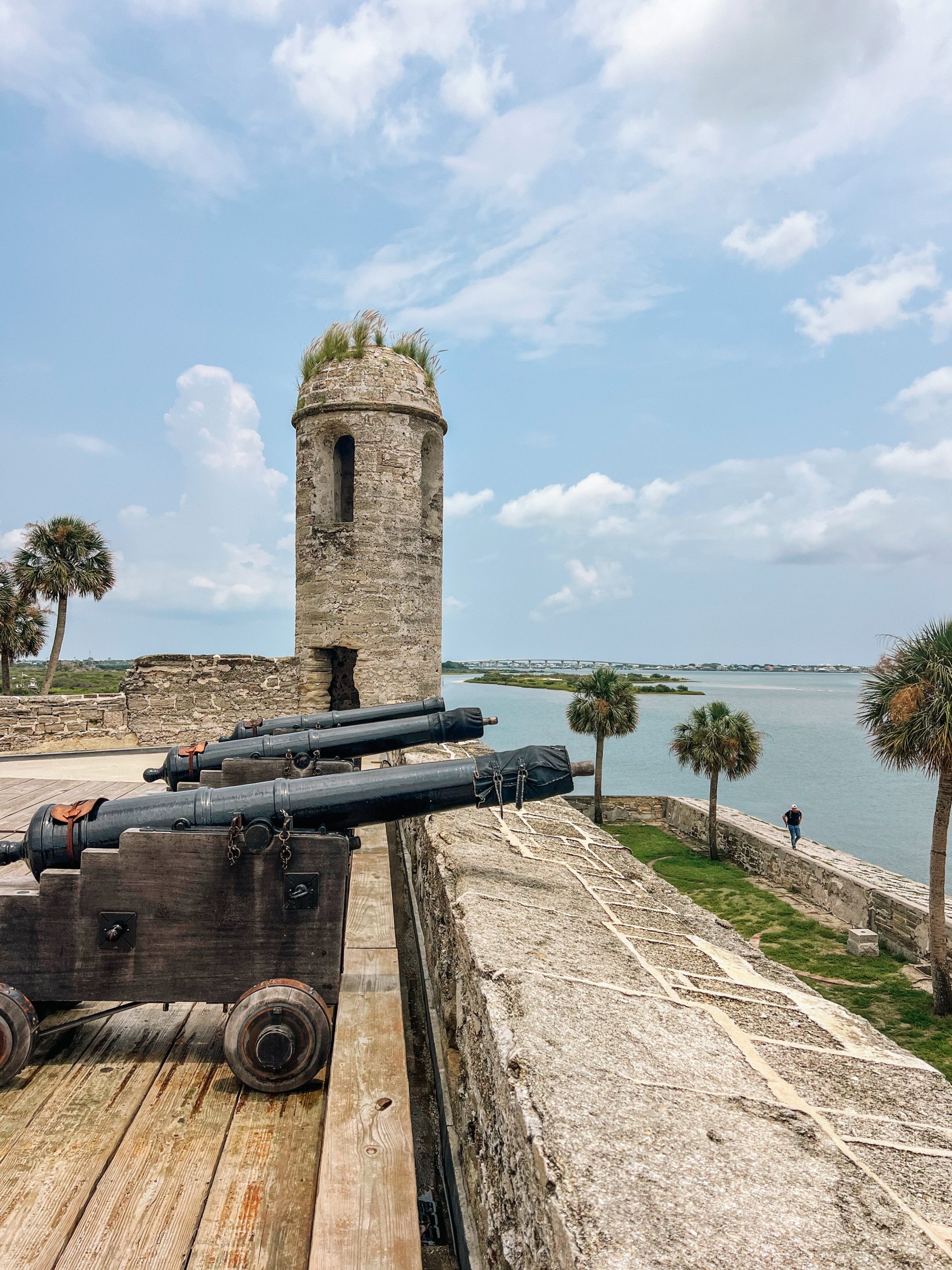 Cannons at Castillo de San Marcos